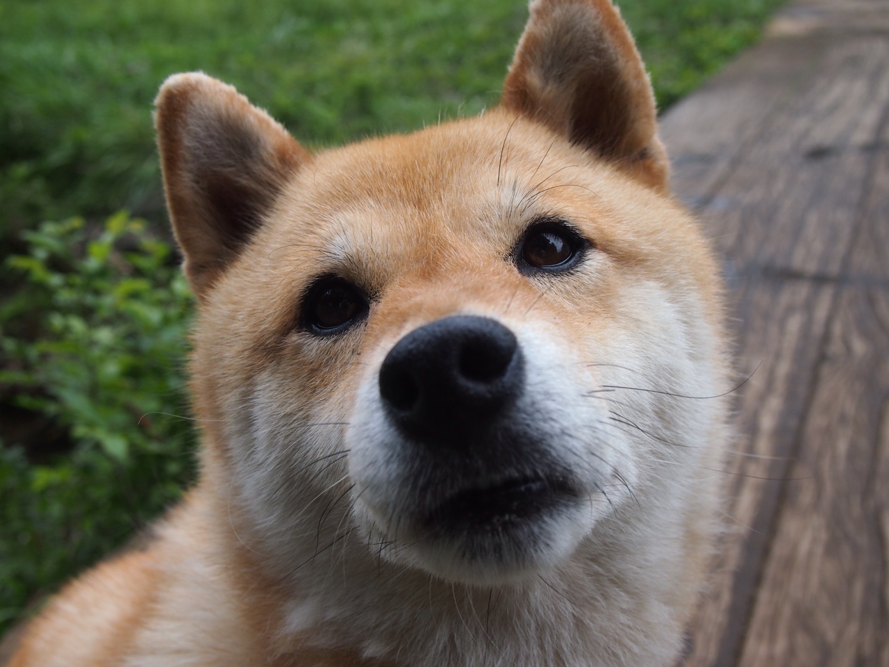 爱游戏正版-弗赖堡士气高昂，球员备战下一轮强力对手，弗赖堡青训