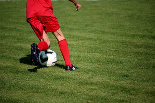 爱游戏入口-中国篮球教练员战术创新培训体系，全国篮球教练员岗位培训