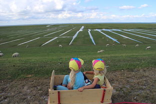 爱游戏平台体验-青少年田径专项训练个性化方案探讨,青少年田径训练营