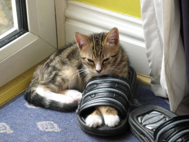 AYX爱游戏中国-“壁球高手对决:在高新区全民健身馆,你看到的不仅仅是技巧,更是心跳!”