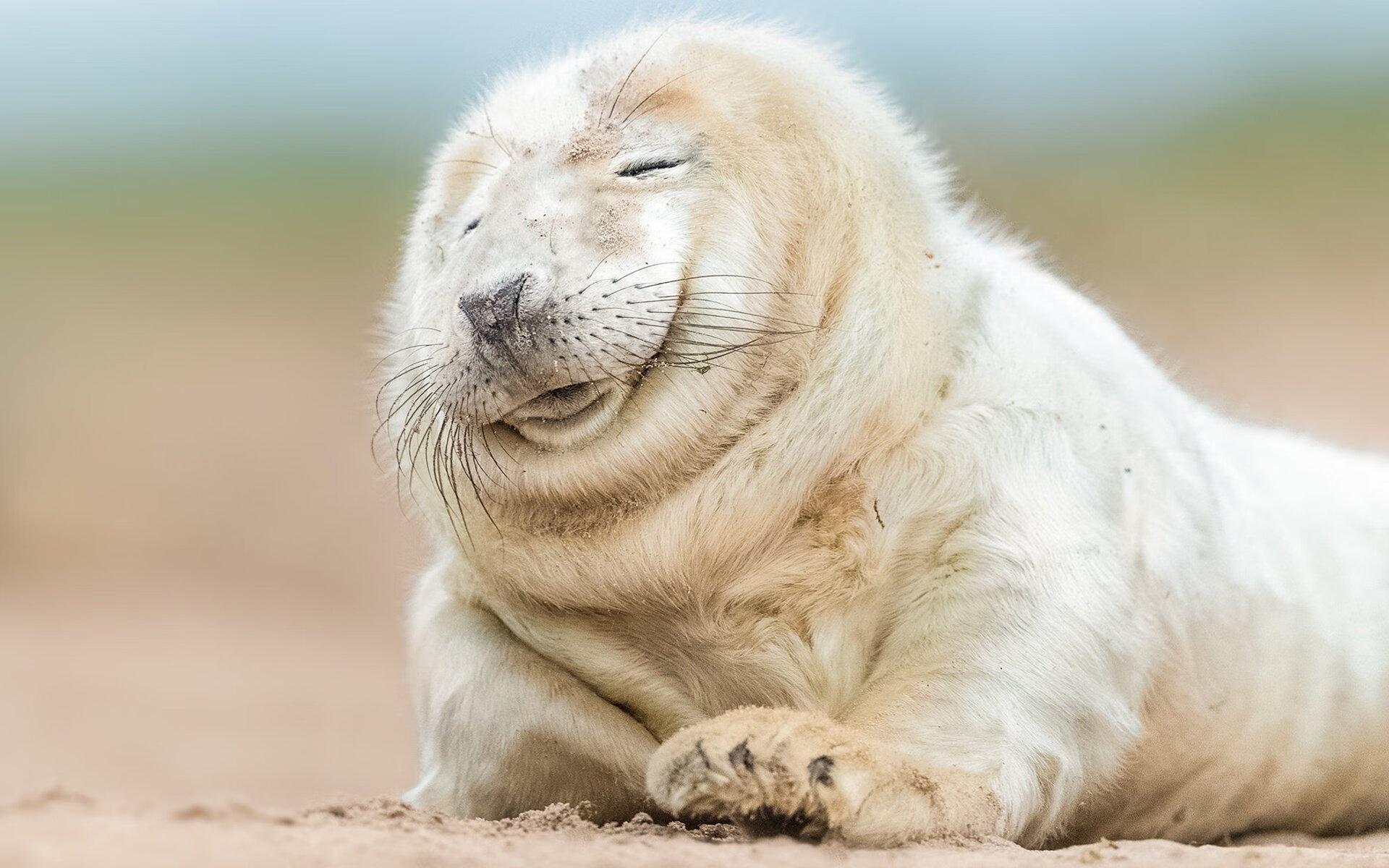 AYX GAMES-中队后程体力略显不足 澳队抓住机会，中队后面填什么