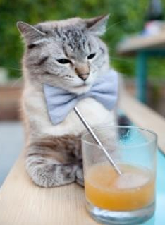 ayx-体能储备与技术表现关系探讨,体能储备一般要多久